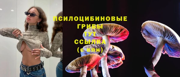 MESCALINE Баксан