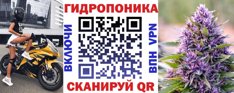 Бошки Шишки индика  Купить закладки  Приморск 